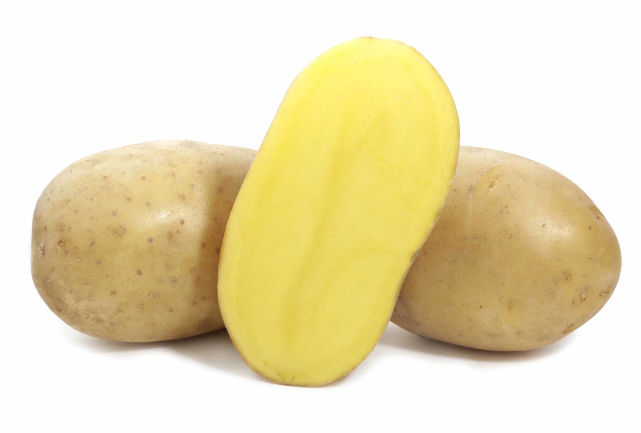 Картофель Вега картофель Вега