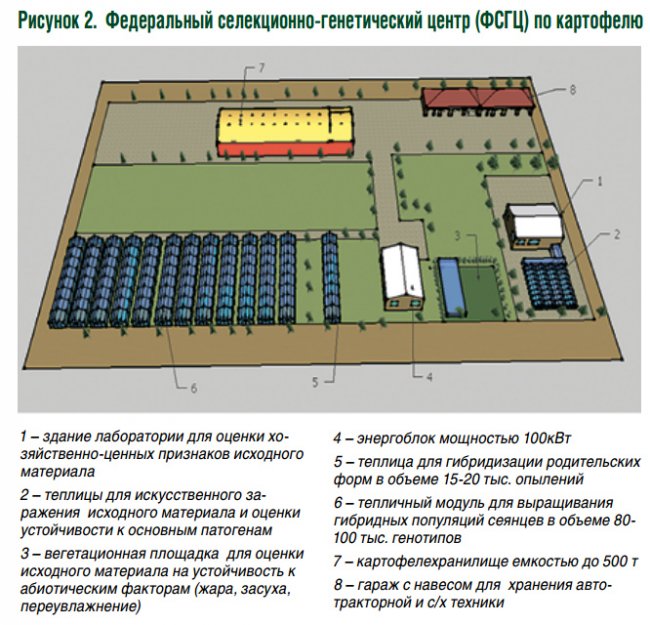 Проект селекционно семеноводческого центра