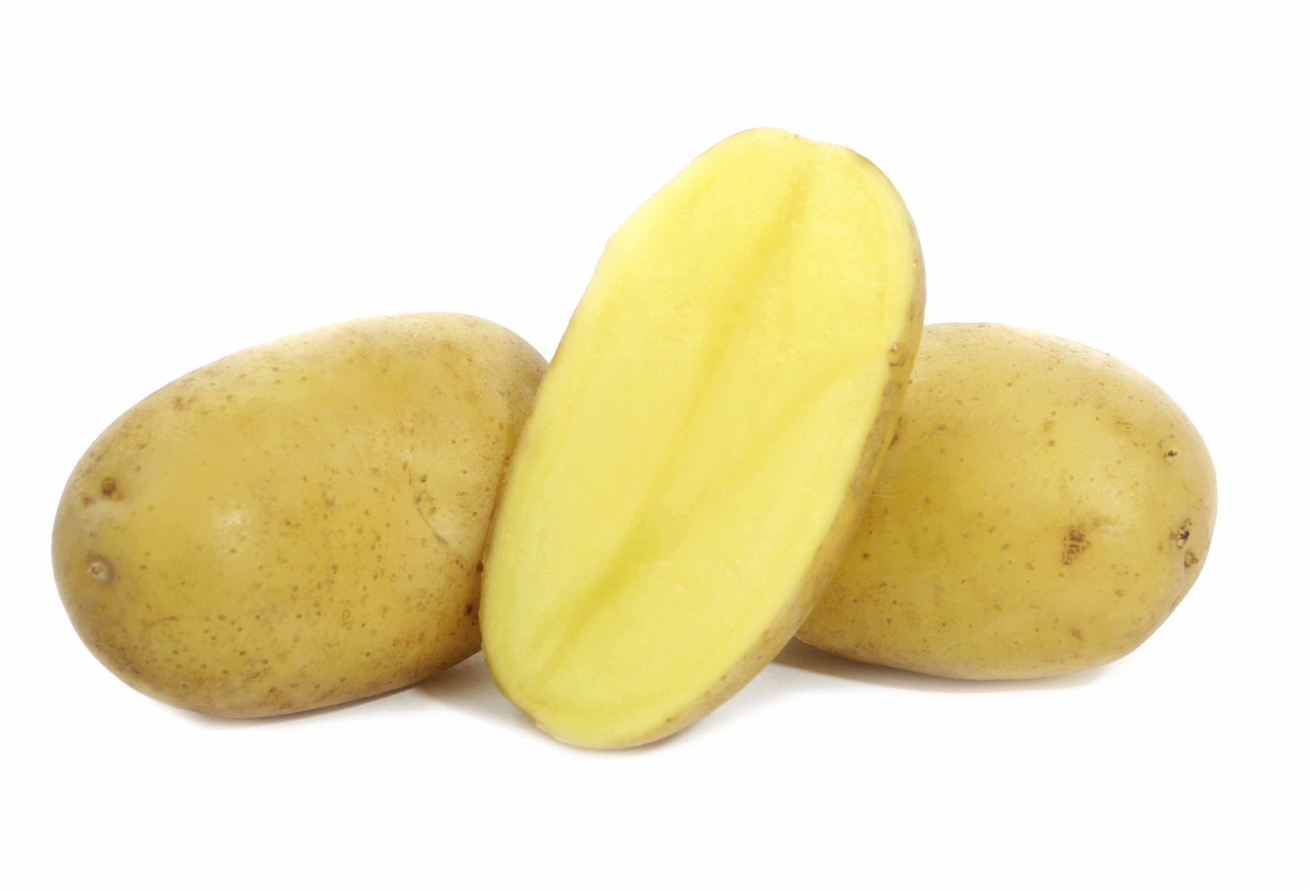 Картофель сорт Фиделия