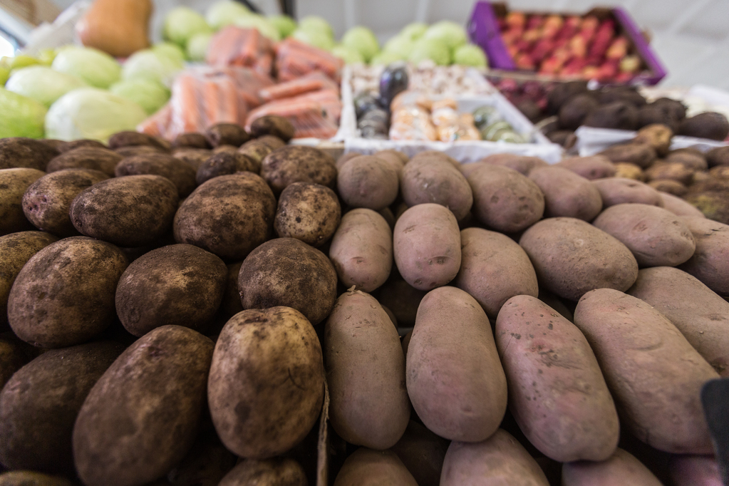 ペンザ地方でジャガイモの価格が上昇した理由 ポテトシステム
