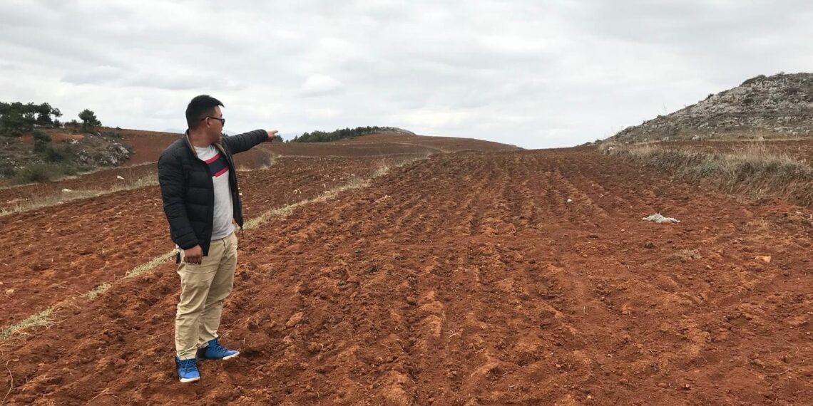 Тан Вей на полях своей картофельной фермы